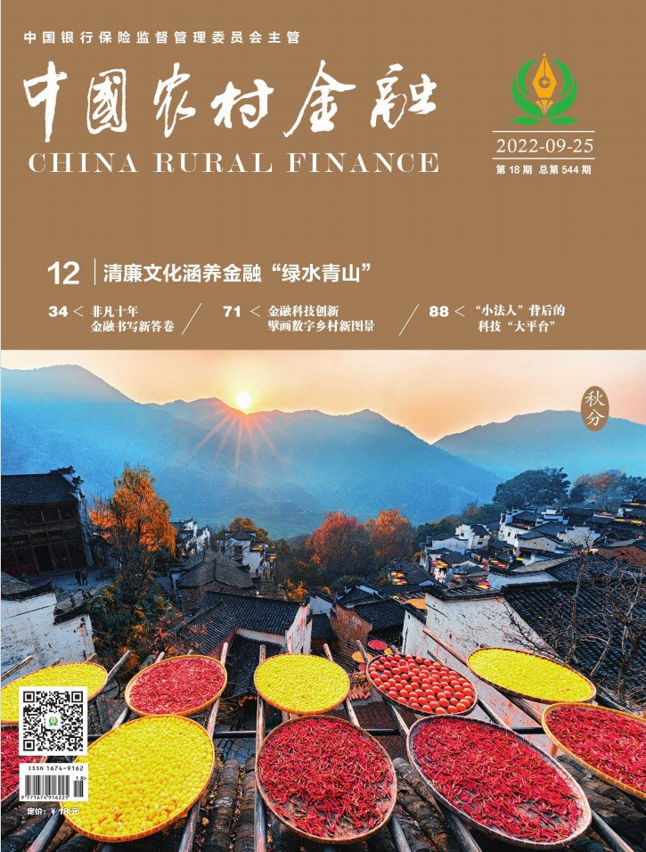 中国农村金融杂志封面