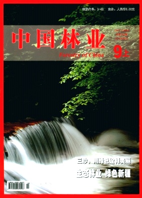 中国林业杂志封面