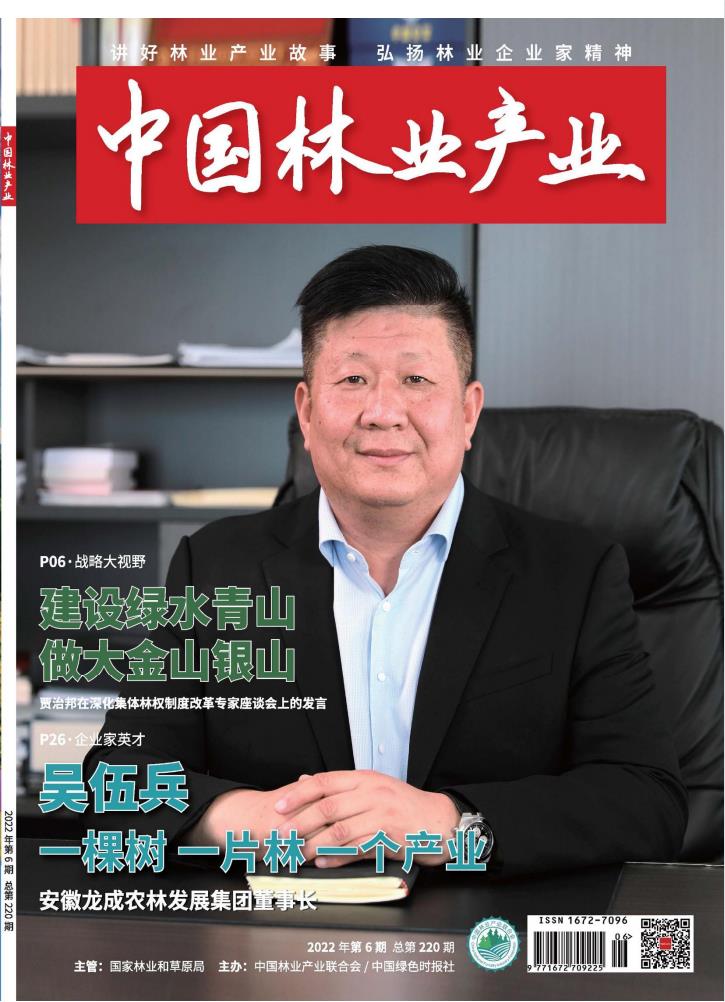 中国林业产业杂志封面