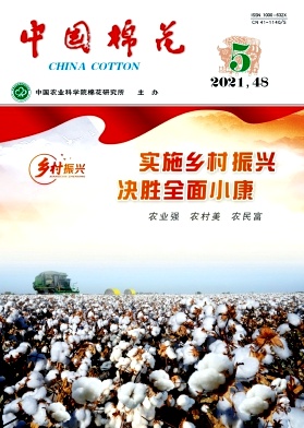 中国棉花封面
