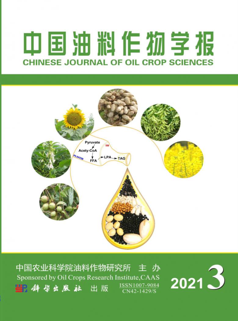 中国油料作物学报封面