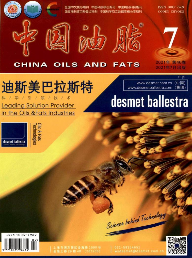 中国油脂杂志封面
