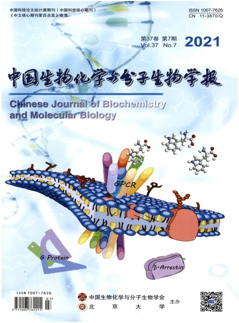 中国生物化学与分子生物学报杂志封面