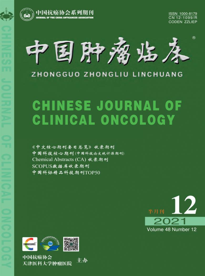 中国肿瘤临床杂志封面