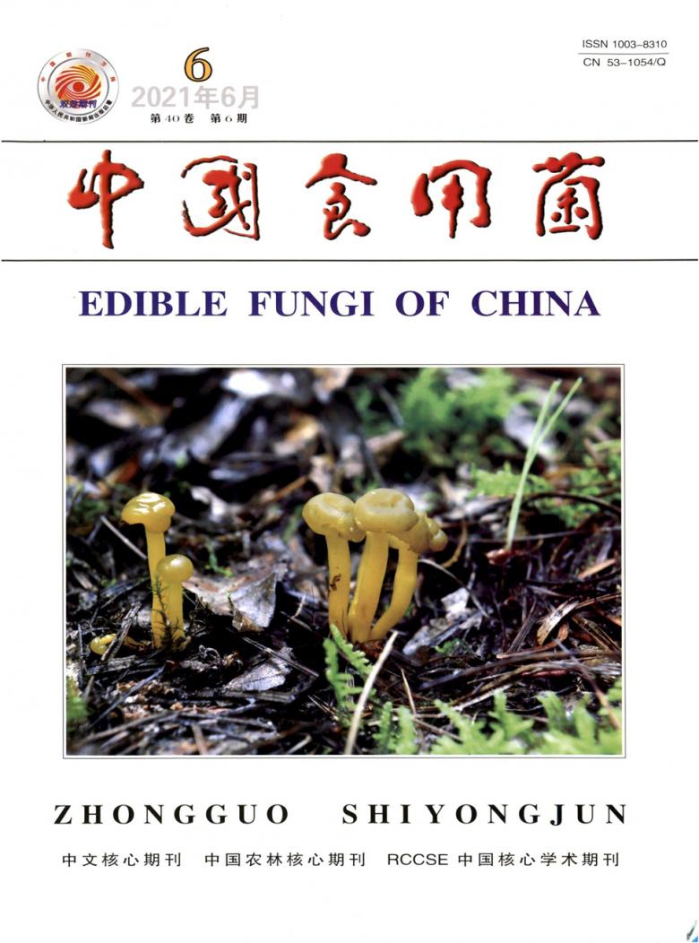 中国食用菌杂志封面