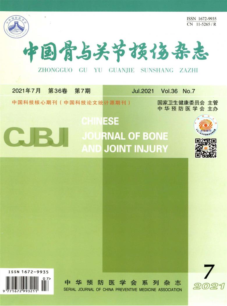 中国骨与关节损伤杂志封面