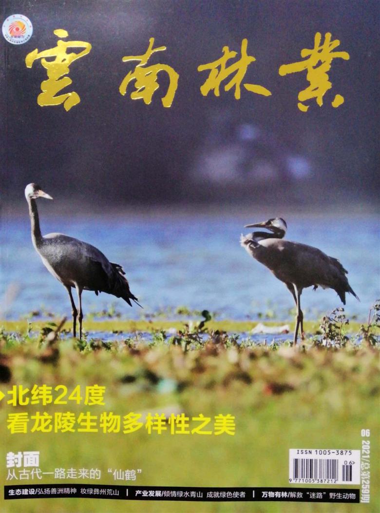 云南林业杂志封面
