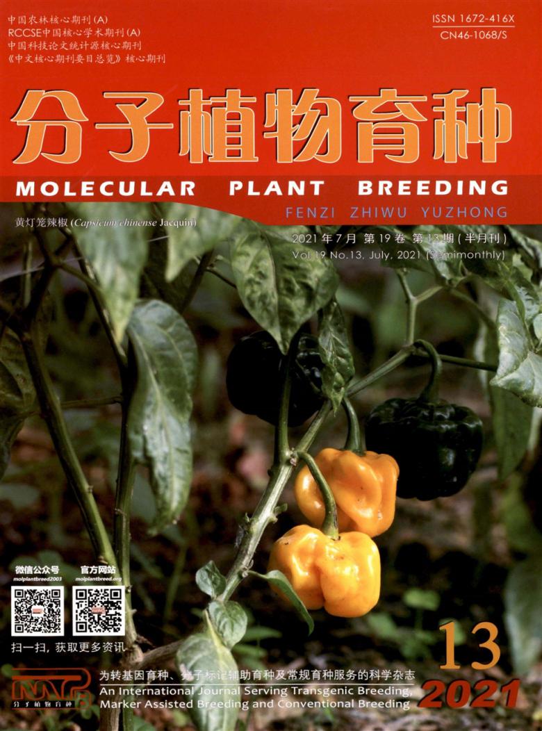 分子植物育种杂志封面