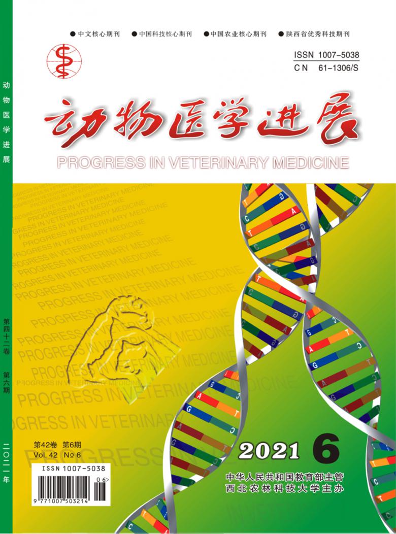 动物医学进展杂志封面