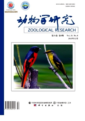 动物学研究杂志封面