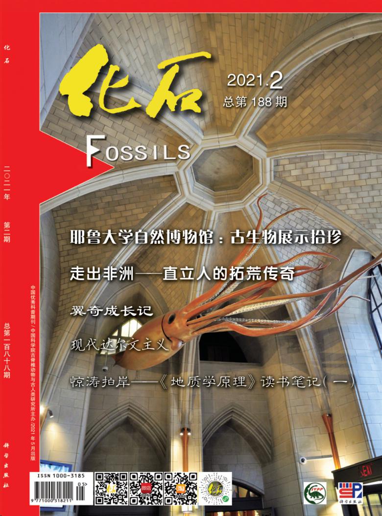 化石杂志封面