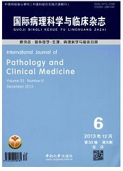 国际病理科学与临床封面