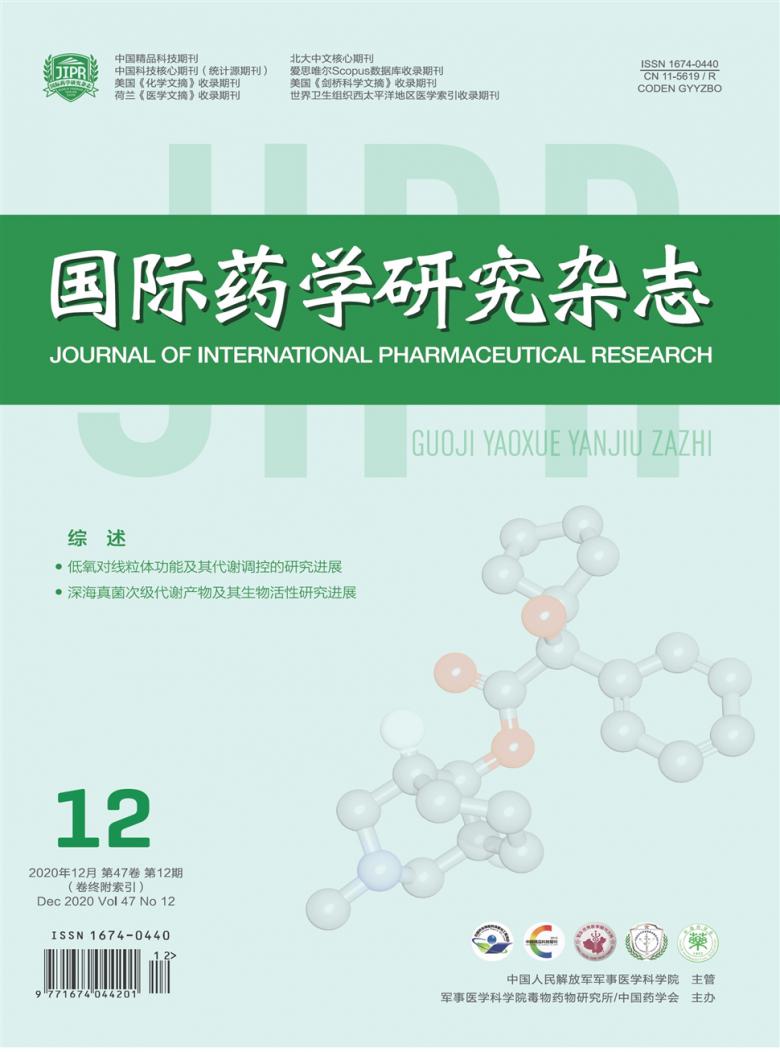 国际药学研究封面