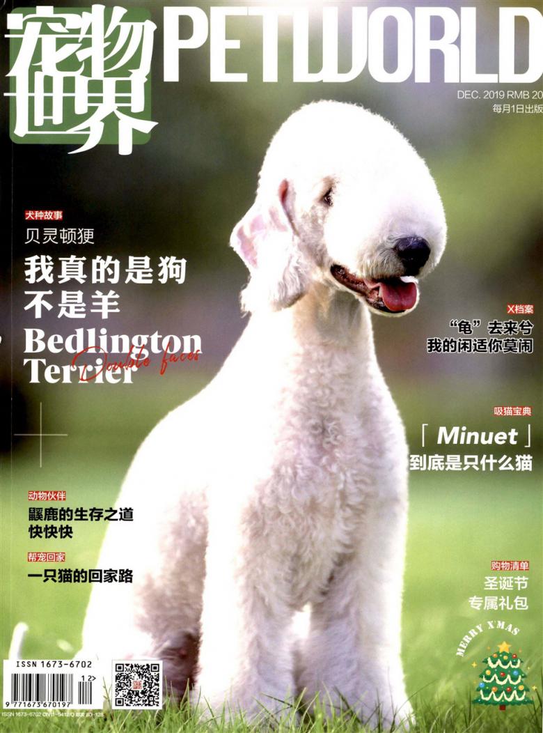 宠物世界杂志封面