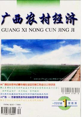 广西农村经济封面
