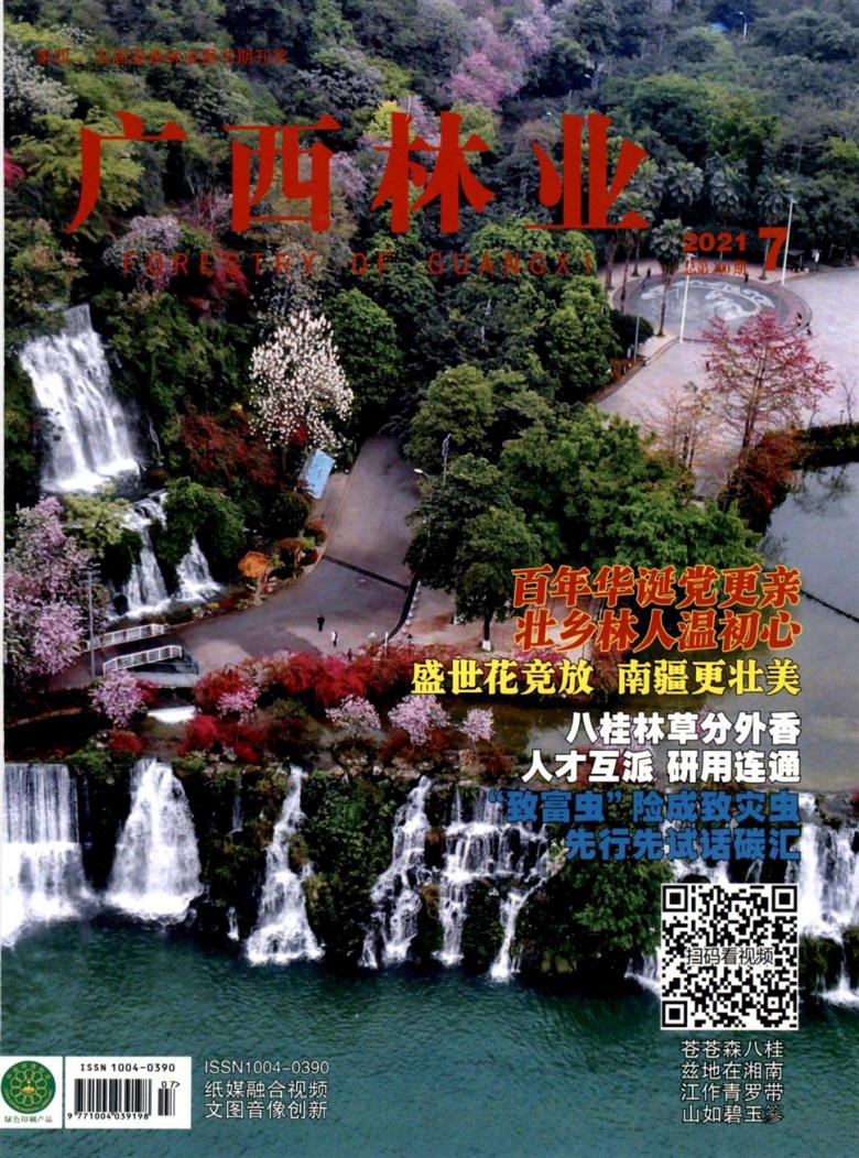 广西林业杂志封面