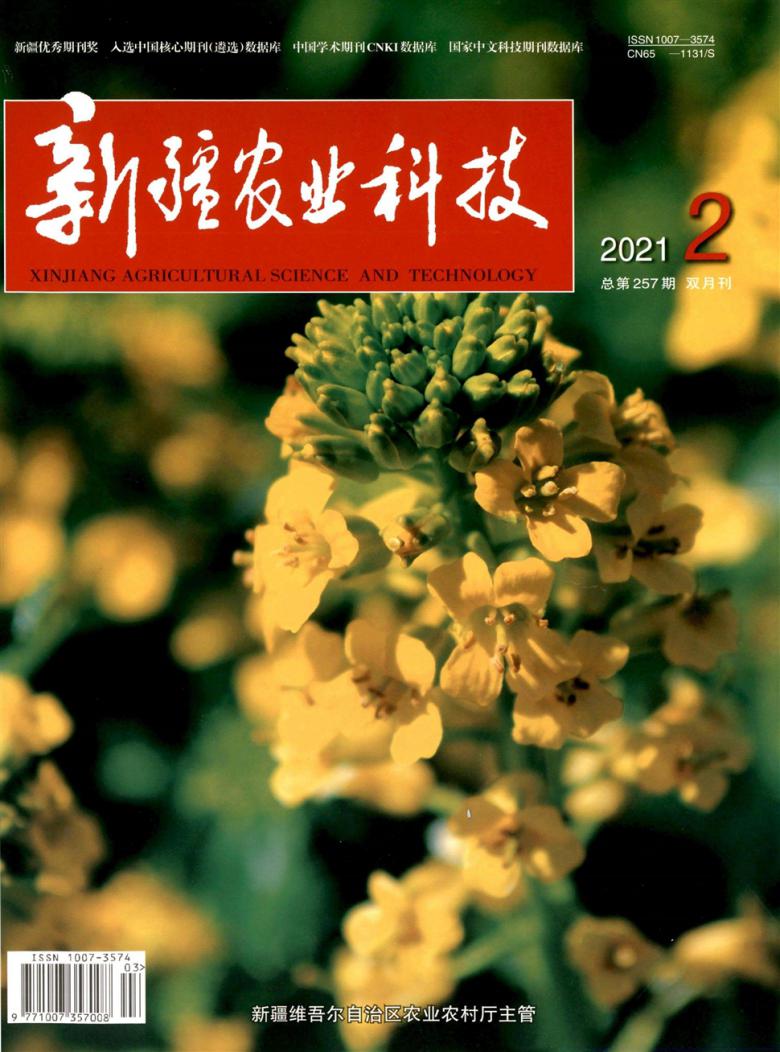 新疆农业科技杂志封面