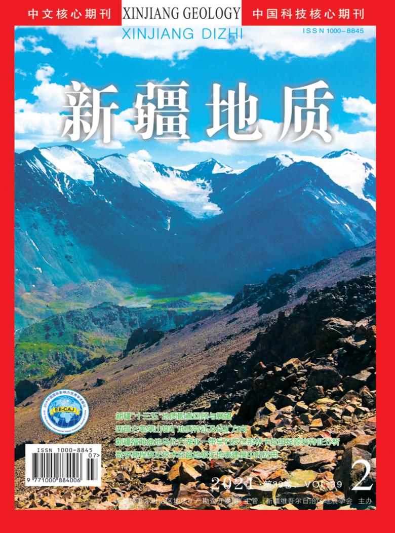 新疆地质杂志封面