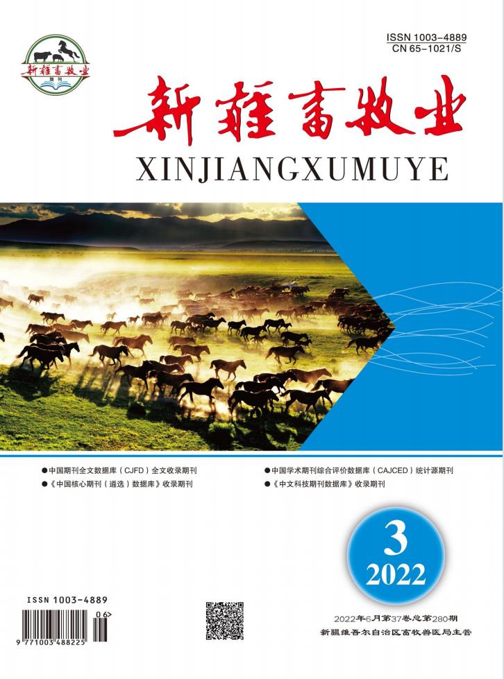 新疆畜牧业杂志封面