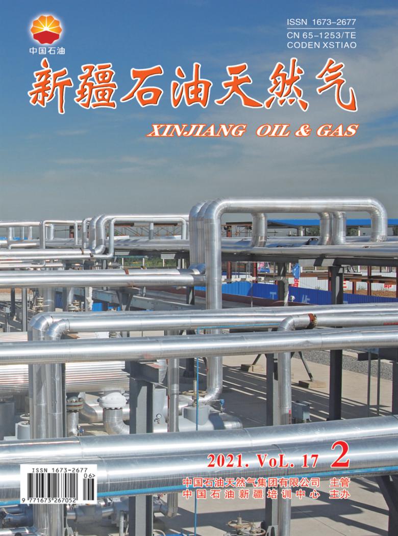 新疆石油天然气杂志封面