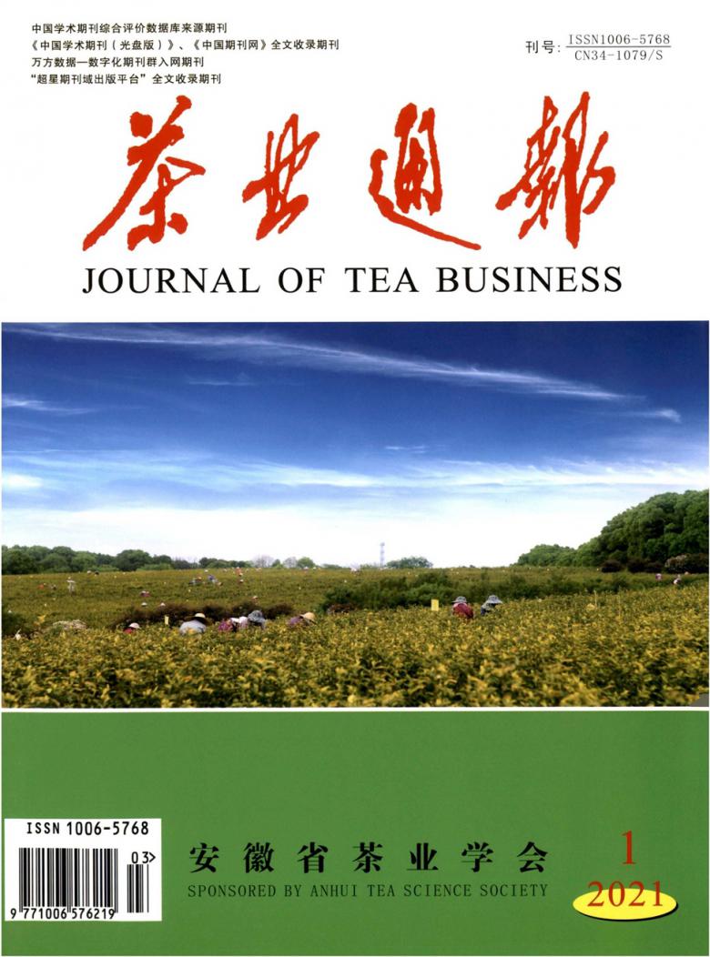 茶业通报杂志封面