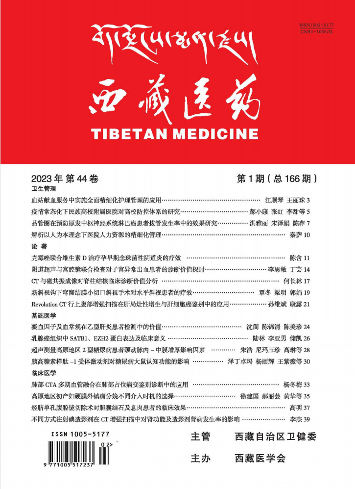 西藏医药封面