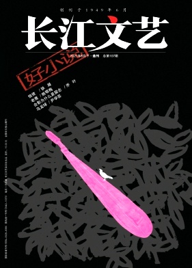 长江文艺杂志封面