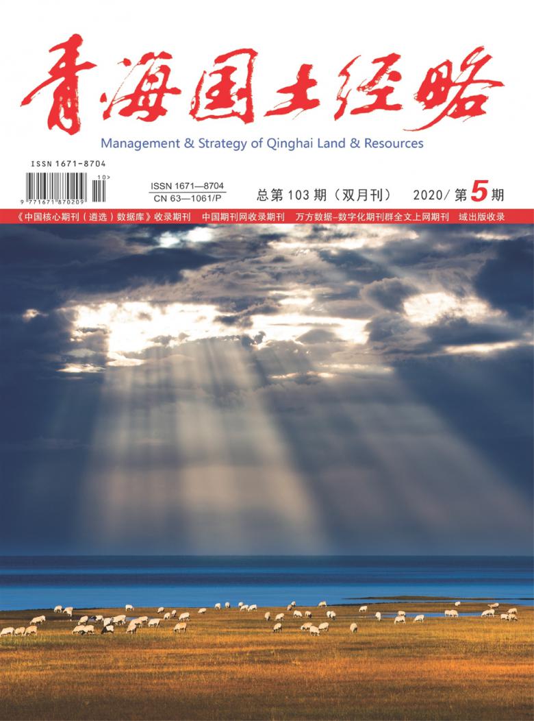 青海国土经略杂志封面
