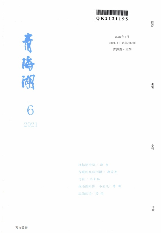 青海湖文学月刊杂志封面