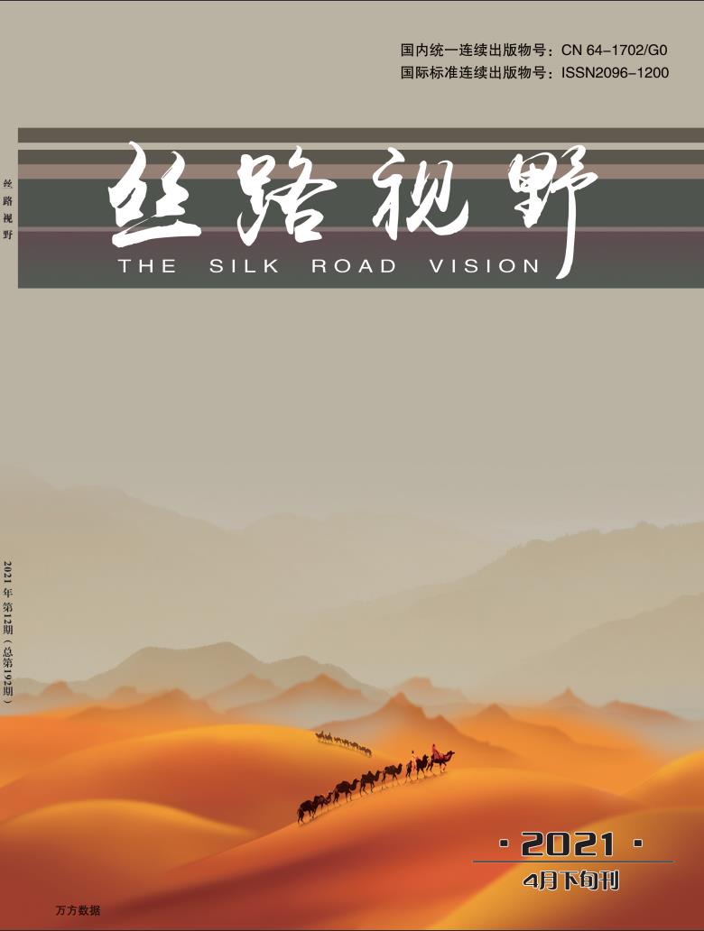 丝路视野封面