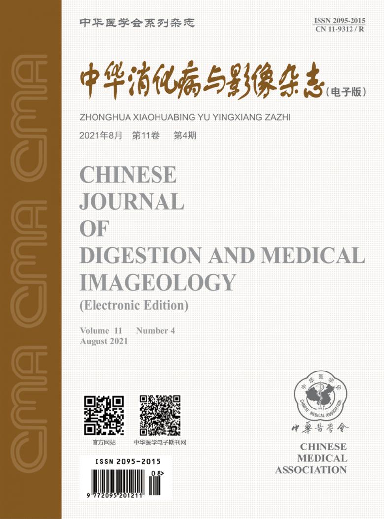 中华消化病与影像封面