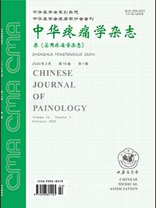 中华疼痛学杂志封面