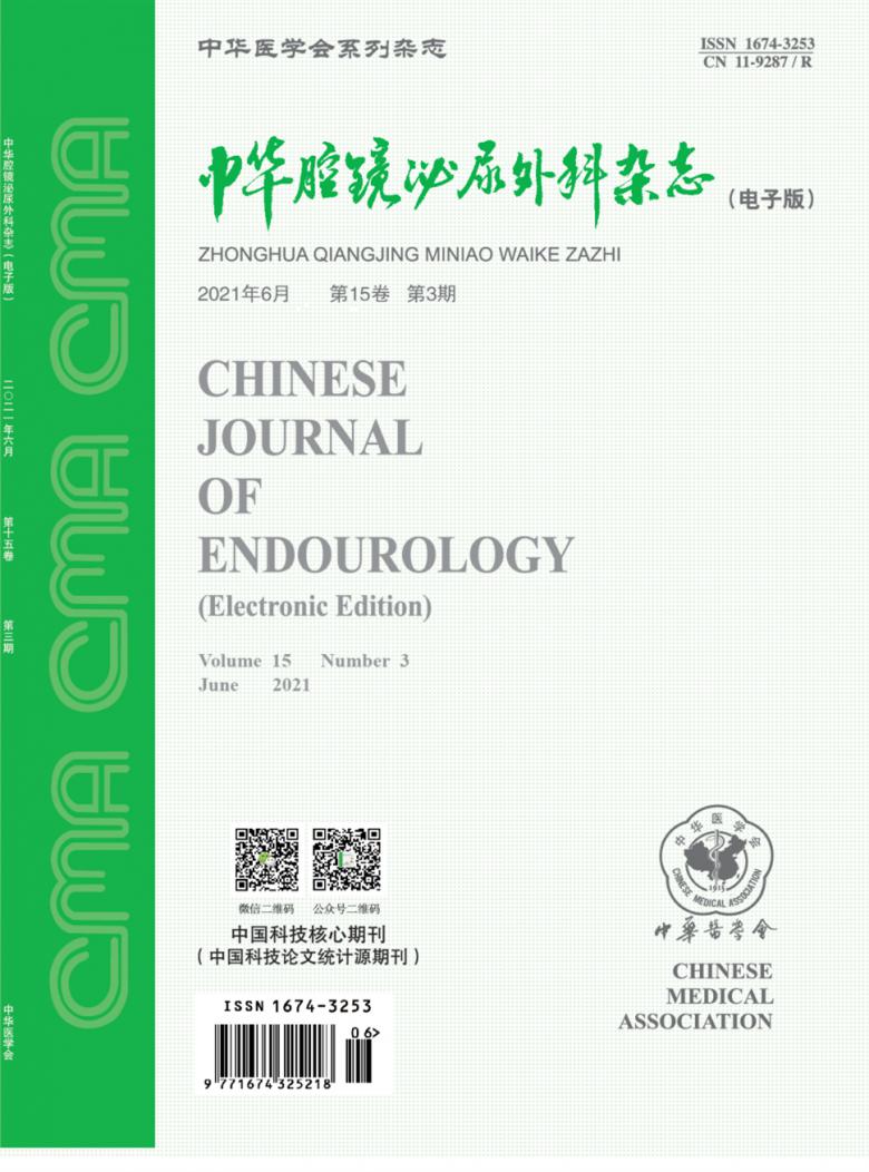 中华腔镜泌尿外科封面