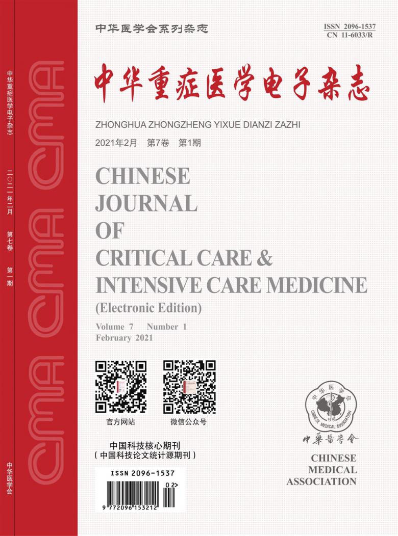 中华重症医学电子封面
