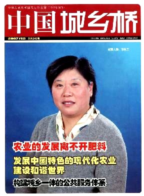 中国.城乡桥杂志封面