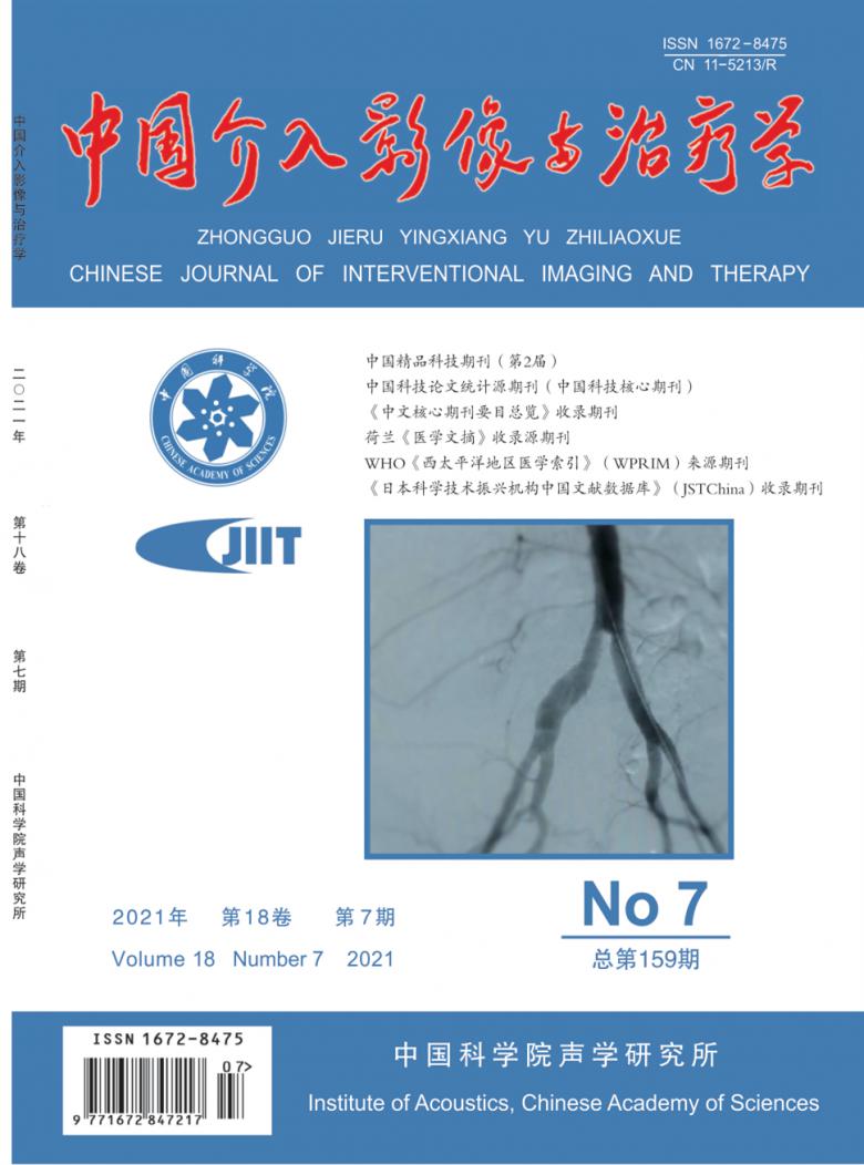 中国介入影像与治疗学封面