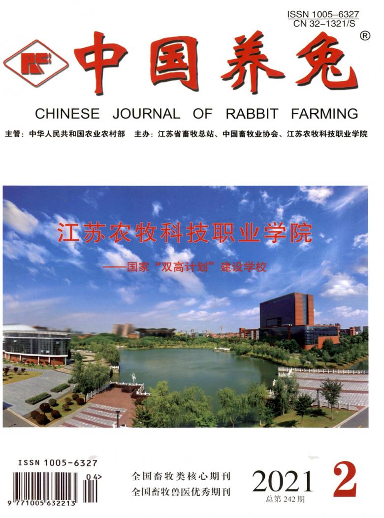中国养兔封面