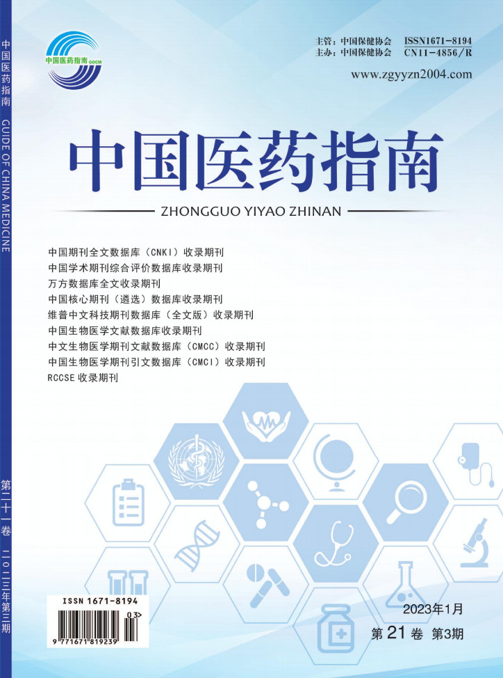 中国医药指南封面