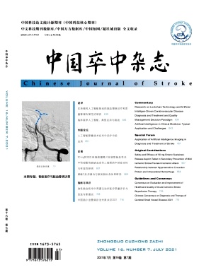 中国卒中封面