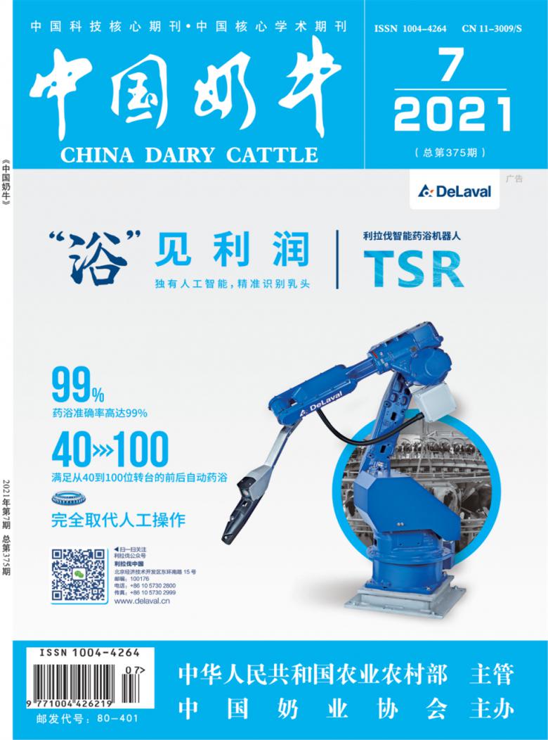 中国奶牛封面