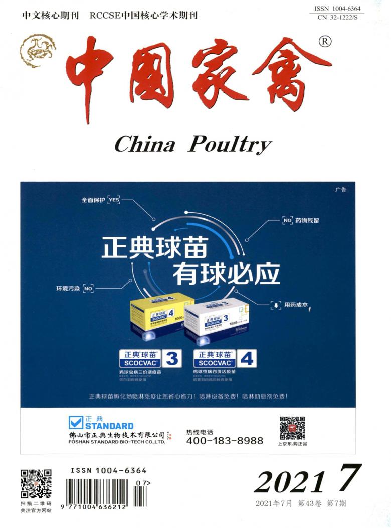 中国家禽杂志封面