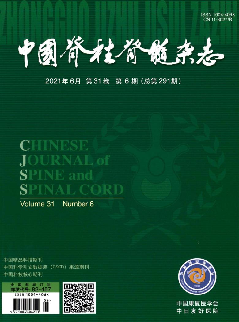 中国脊柱脊髓封面