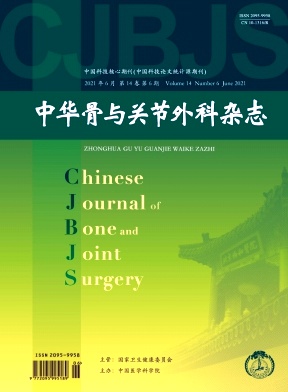 中国骨与关节外科封面