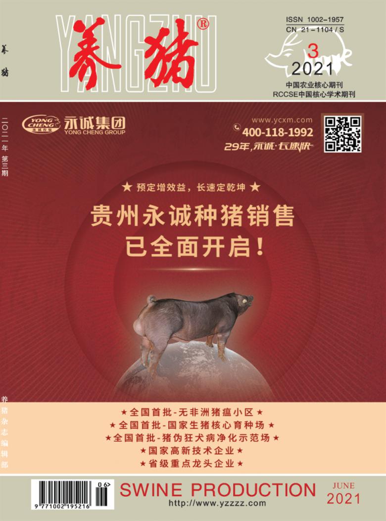 养猪杂志封面