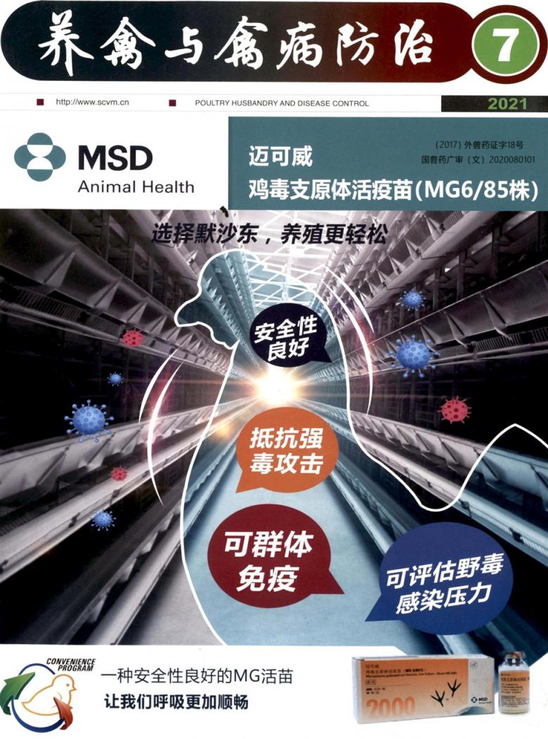 养禽与禽病防治封面
