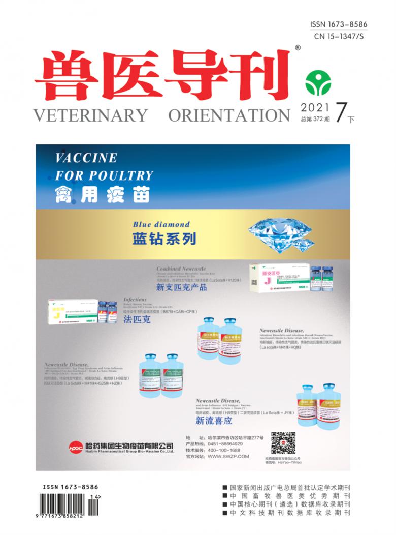 兽医导刊封面
