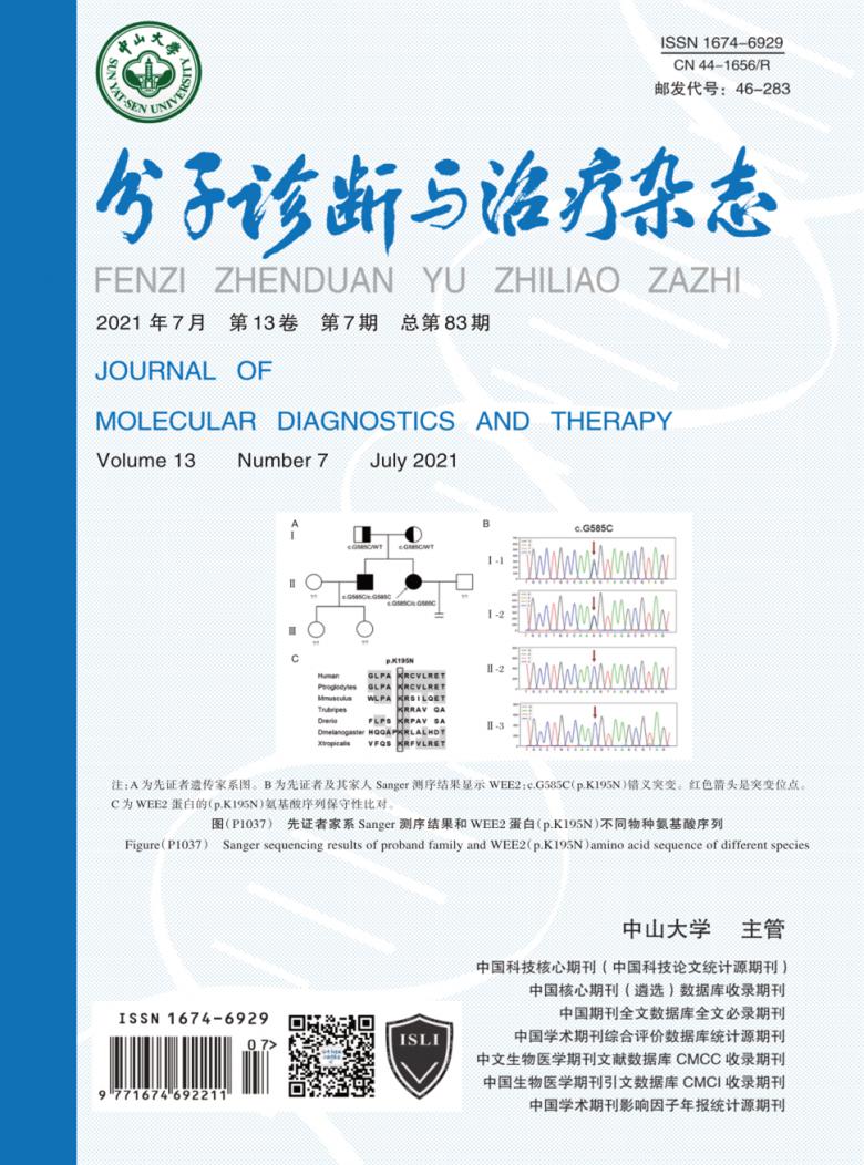 分子诊断与治疗封面