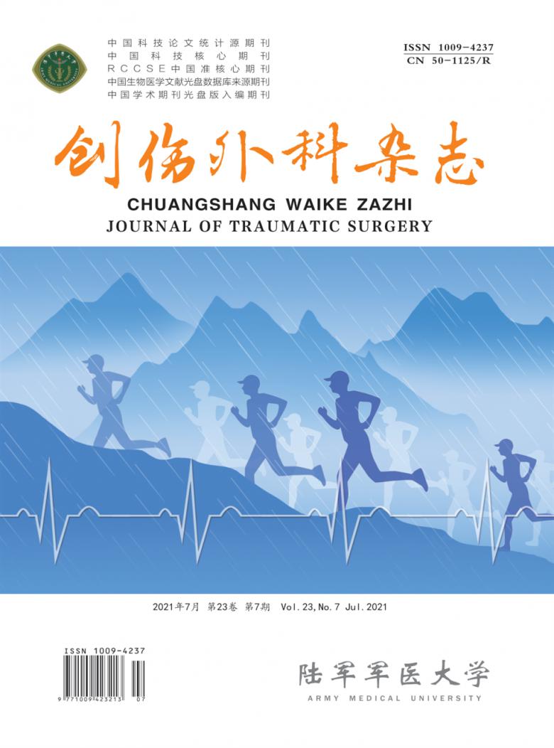 创伤外科杂志封面