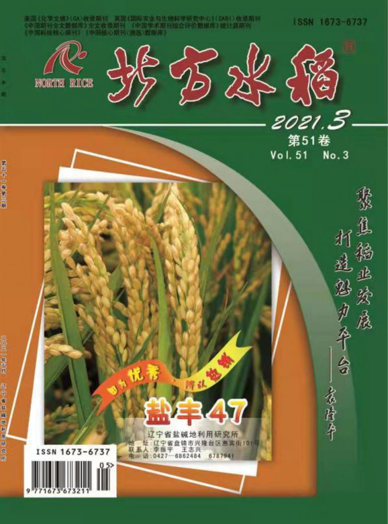 北方水稻封面