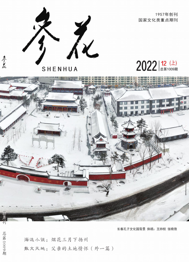 参花杂志封面